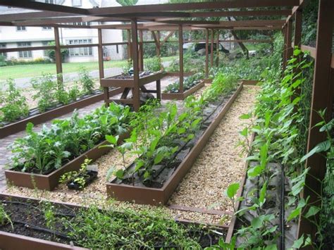 Small Backyard Vegetable Garden Ideas Small Vegetable