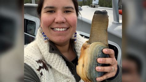 Vancouver Island Researchers Involved In Geoduck Aquaculture Ctv News