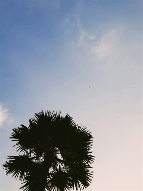 Gambar Aesthetic