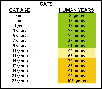 It is not easy to calculate a cat's age as there is no definite formula to do this. How old is your pet in people years? — MercyVet