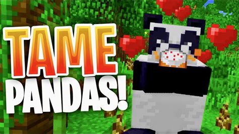 How To Tame Pandas In Minecraft