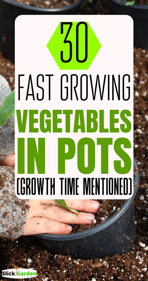 30 Fast Growing Vegetables In Pots Growth Time Mentioned Fast