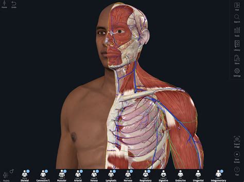 Elsevier Introduces D Human Anatomy Model To Tackle Racial Bias In