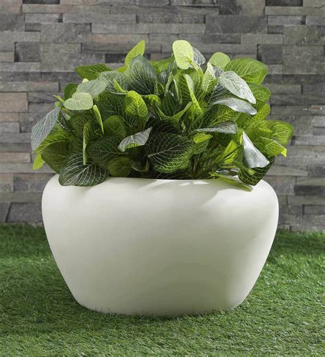 20 Large Garden Pots Cheap