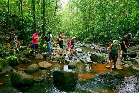 2023 Sri Lanka Sinharaja Rain Forest Tour