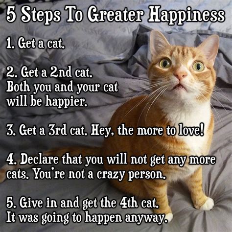 Funny Cat Pictures With Quotes Scary Cat Quotes Quotesgram