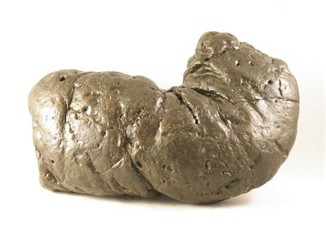 Meet The Man With The Worlds Best Collection Of Fossil Poop