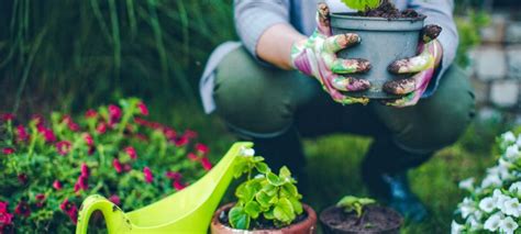 Mental And Physical Benefits Of Gardening Humans In Nature