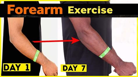 How To Get Bigger Forearms Fast The Perfect Forearm Workout How To