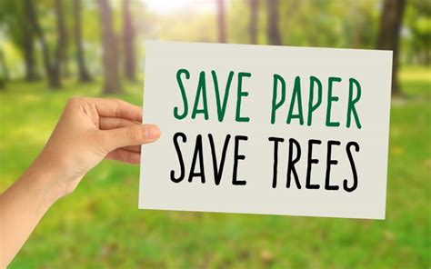 How To Go Paperless At Work And Prevent Deforestation Zameen Blog