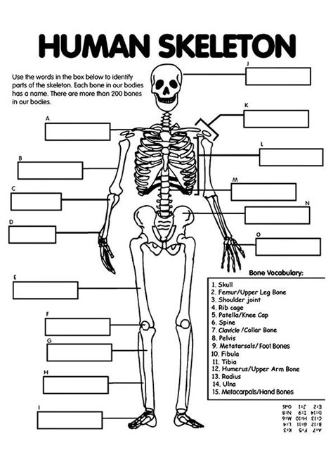 Get fast, free shipping with amazon prime. print coloring image - MomJunction - A Community for Moms ...
