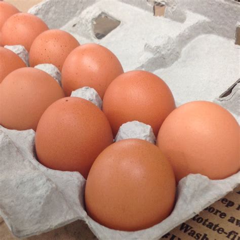 Free Range Brown Eggs | Norman's Farm Market