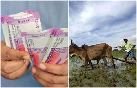 1.1 pm kisan samman yojana: PM Kisan Yojana Find out why installment is stuck with ...