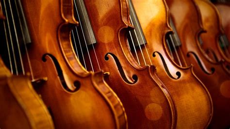 Violin Instruments Discover Music Classic Fm