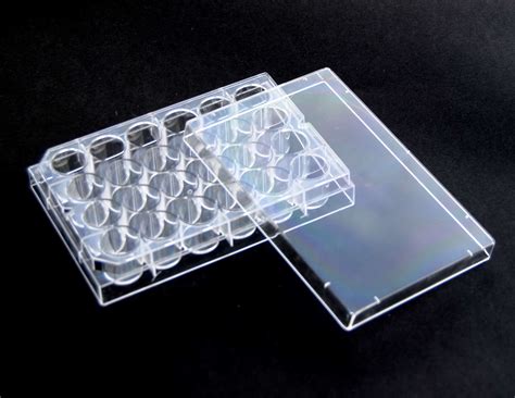 Tissue Culture Treated 24 Well Plates Sterile Biomat