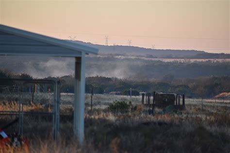 Early, explosive cedar season expected to begin any day now