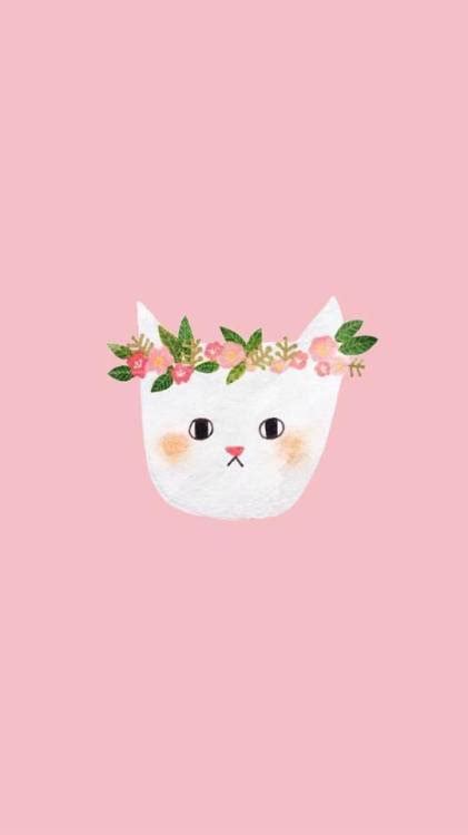 Cat funny photo animals think wallpapers tabby book cute little. cat wallpaper | Tumblr
