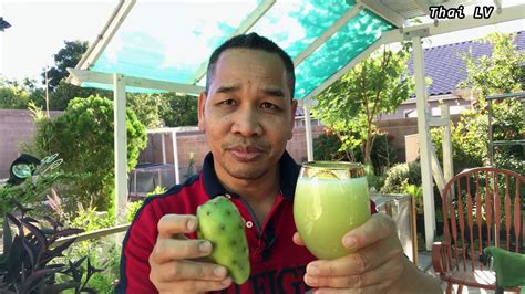 Green cactus pears can also be slow cooked to make preserves, jams, and jellies to. How to make Prickly pear cactus Juice วิธีทำน้ำกระบองเพชร ...