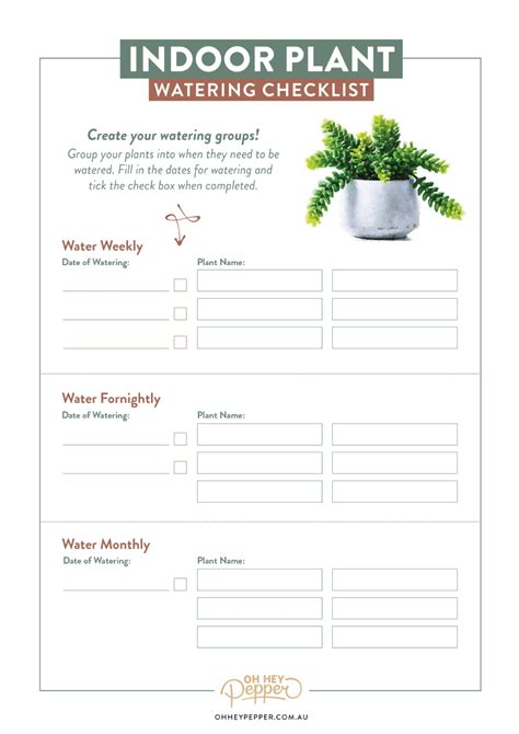 House Plant Care Excel Sheet Raka Grup