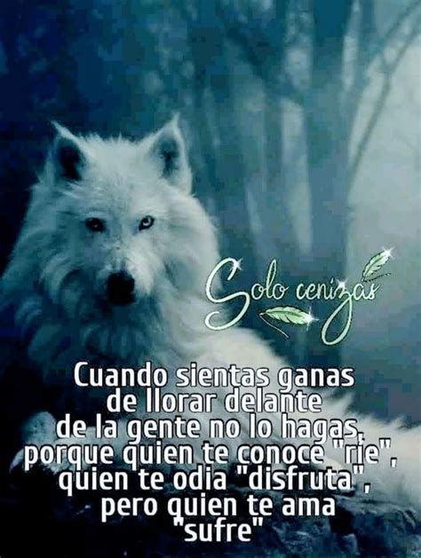 Deslumbra a tu enamorado con imágenes lindas que te gusten y sepas que puedes sorprender con frases bonitas. imagenes-de-lobos-guerreros-solitarios-con-frases ...