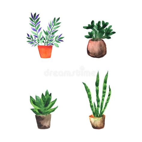 Watercolor Set Of Hand Painted House Plants Stock Vector Illustration