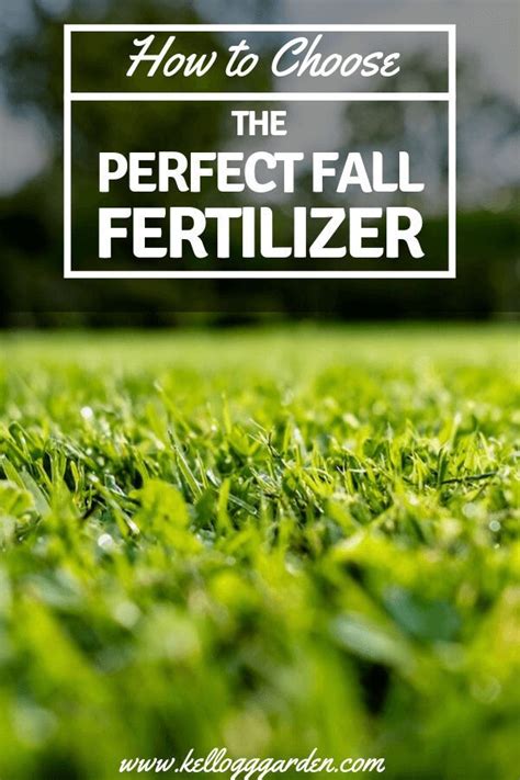 Fertilizing Your Fall Lawn In 6 Steps Artofit