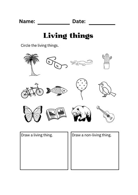 Science Living Things Worksheets Teaching Resources