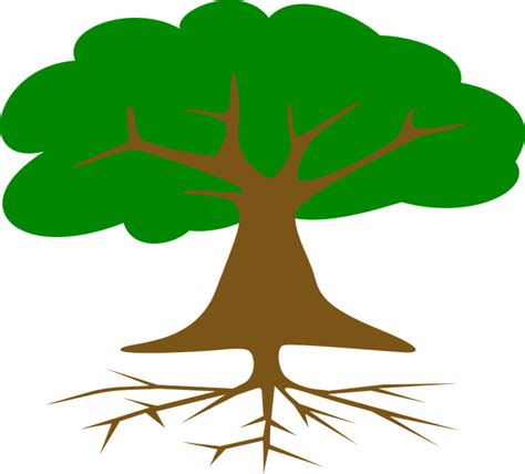 Árbol Raíces Hojas Sección - Gráficos vectoriales gratis ...