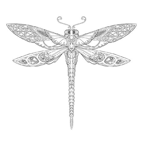Simple And Realistic Dragonfly Coloring Pages 101 Coloring
