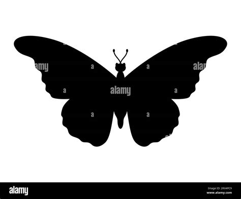 Butterfly Silhouette Vector Art White Background Stock Vector Image