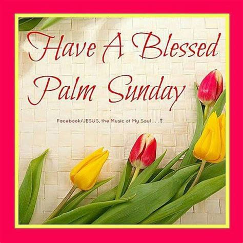 Palm Sunday | Happy palm sunday, Palm sunday quotes, Sunday greetings