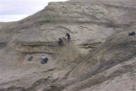 Oldest Dna Reveals Life In Greenland Million Years Ago The