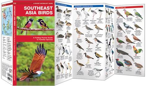 Southeast Asia Birds Pocket Naturalist Guide