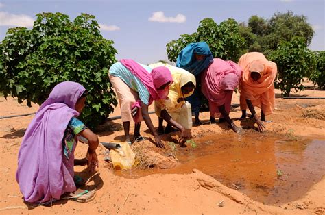 The handbook guides resource managers and planners with key decision considerations, resources, tools, and decision options to adapt to a changing climate. This Cookbook Explores Climate Change Adaptation | FoodPrint