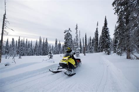 Half A Day Snowmobile Ride Quebec