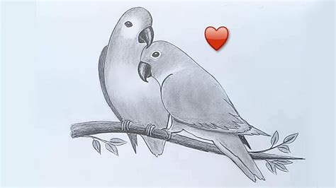 Pencil Drawing Of Lovebirds