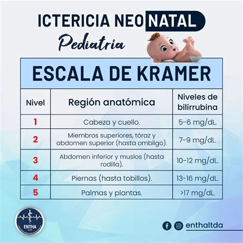 Entha Ltda 📈 Escala De Kramer 👇🏼 🩺 La Ictericia