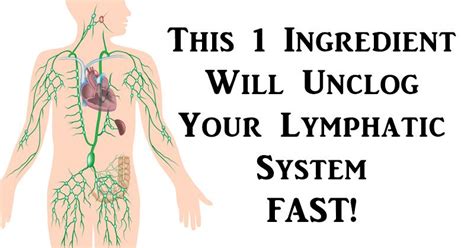 Pin On Lymph Cleansing