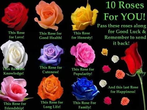 Flowers Rose Rose Floral Arrangements Rose Meaning