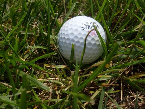 Golf Ball In Grass Free Stock Photo Public Domain Pictures