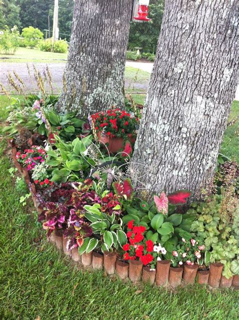 Pinner Writes My Shade Flower Bed Consists Of Hostas Caladiums