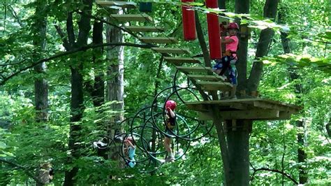 Treetop Quest At Explore Park To Reopen Saturday