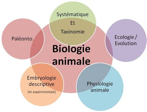 Le Blog De Mcolin La Biologie Animale Une Science De Structure