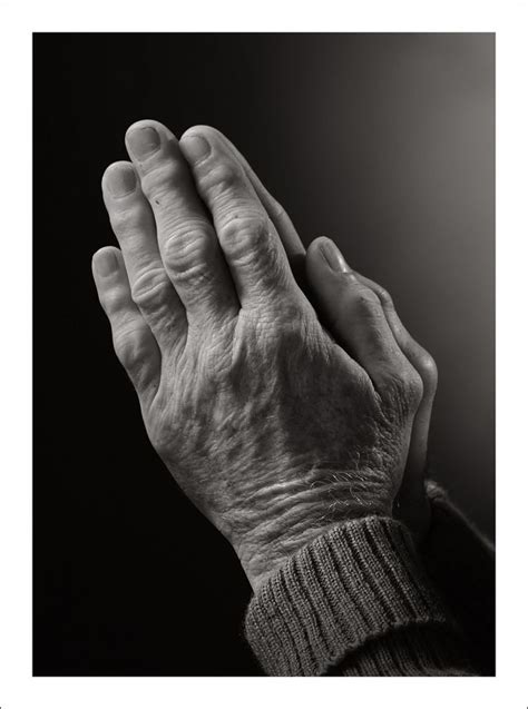 Praying Hands Hand Reference Praying Hands Hand Photography