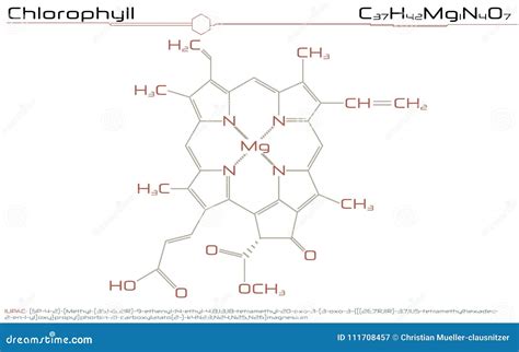 Molécula de la clorofila ilustración del vector Ilustración de blanco