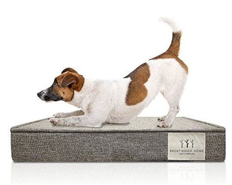 Brentwood Home Griffith Pet Bed Orthopedic Gel Memory Foam Made In