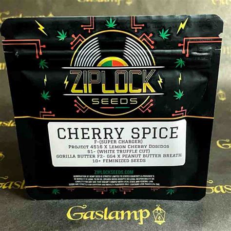 Ziplock Seeds Cherry Spice 10 Feminized Seeds Gaslamp Seeds