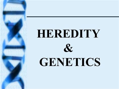 Genetics And Heredity Study Guide Science Quizizz