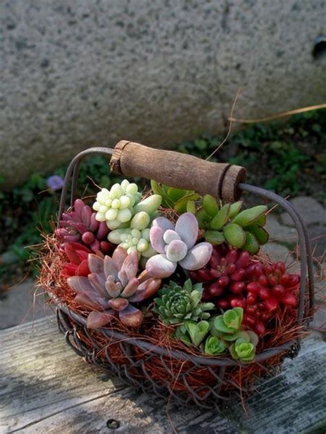 Una bandeja para organizar los cactus será una buena propuesta para tener un centro de mesa sencillo pero hermoso. Centros de mesa de cactus y suculentas ...