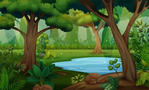 Premium Vector Forest Scene With Many Trees And Small Pond Jungle